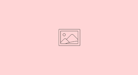 TWNT-X33